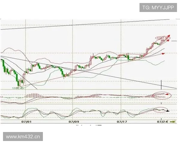利雅得新月统治周期显现，持续强势表现对联赛格局影响逐步扩大